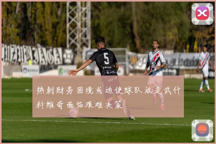 热刺财务困境或迫使球队放走武什科维奇面临艰难决策