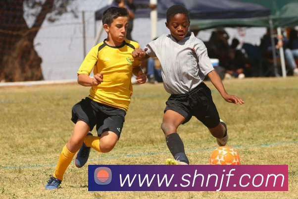 平台展示图
