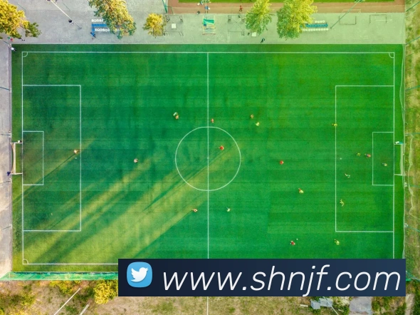 App 示例图